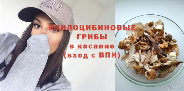мет Пересвет
