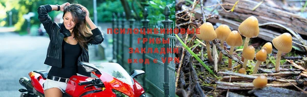 мет Пересвет