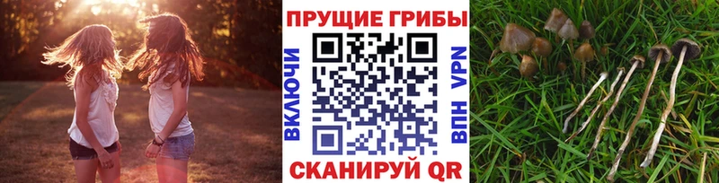 Галлюциногенные грибы прущие грибы  Анива 