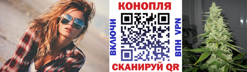 Бошки Шишки Amnesia Анива